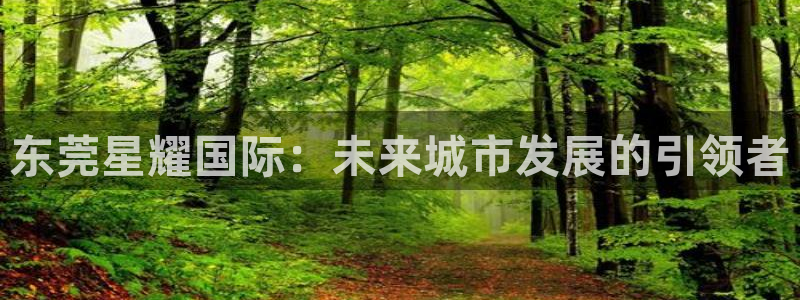 万赢娱乐平台app下载：东莞星耀国际：未来城市发展的引领者