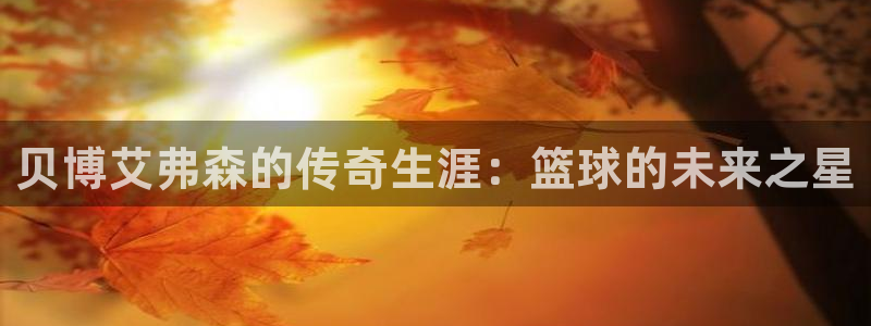 万赢娱乐官网：贝博艾弗森的传奇生涯：篮球的未来之星