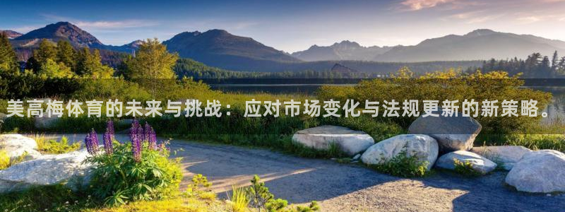 壹号平台下载安装官网：美高梅体育的未来与挑战：应对市场变化与法规更新的新策略。