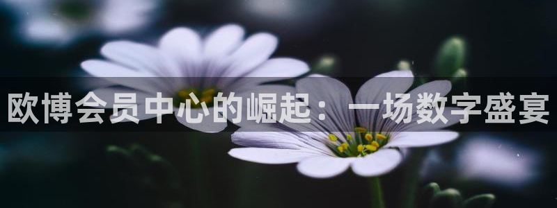 万赢娱乐官方app下载安装：欧博会员中心的崛起：一场数字盛宴