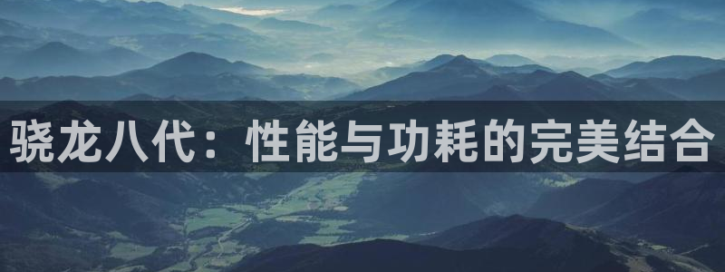 壹号top娱乐：骁龙八代：性能与功耗的完美结合
