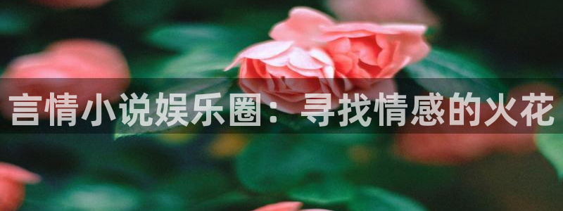 万赢娱乐怎么下载：言情小说娱乐圈：寻找情感的火花
