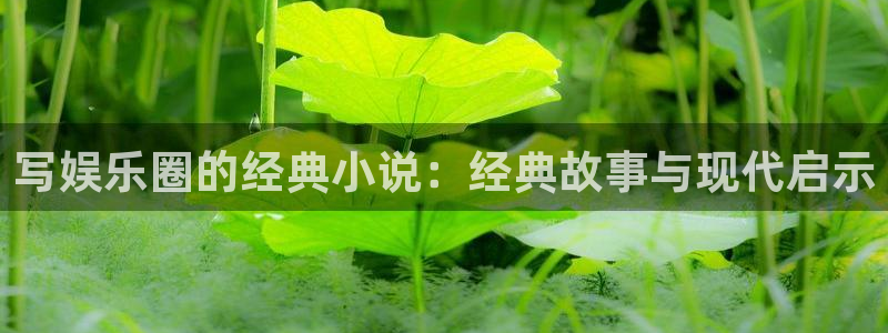 万赢娱乐app下载安装最新版