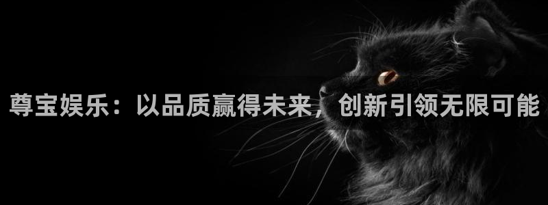 壹号大舞台官网入口
