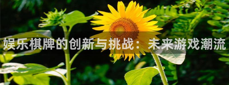 万赢娱乐app官网下载