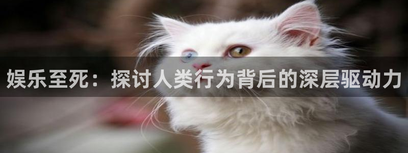 壹号平台下载安装