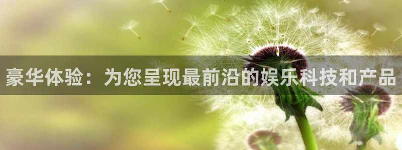 壹号电子娱乐app下载最新版本安装
