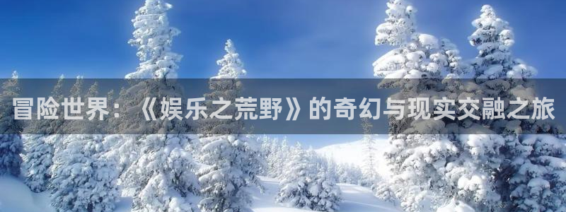 壹号电子娱乐app下载