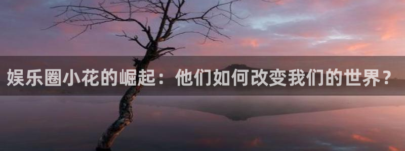 壹号大舞台官网入口