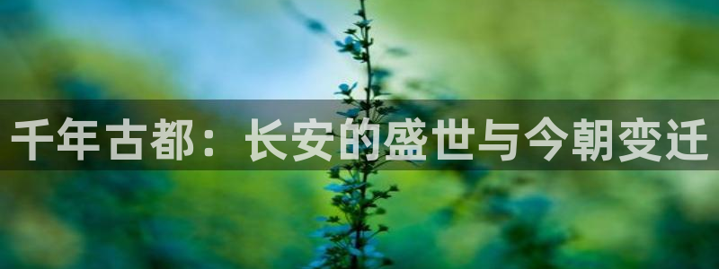 万赢娱乐app官网下载