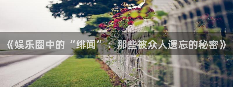 万赢娱乐怎么下载：《娱乐圈中的“绯闻”：那些被众人遗忘的秘密》