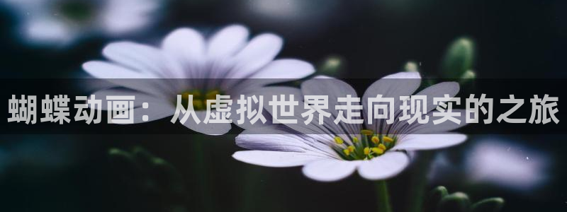 壹号大舞台怎么注册：蝴蝶动画：从虚拟世界走向现实的之旅