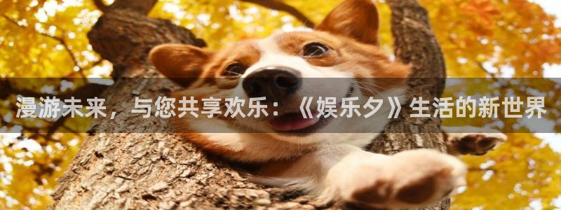 壹号app官方登录入口下载：漫游未来，与您共享欢乐：《娱乐夕》生活的新世界