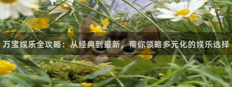 壹号电子娱乐app下载最新版本：万宝娱乐全攻略：从经典到最新，带你领略多元化的娱乐选择