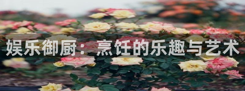 壹号电子娱乐app：娱乐御厨：烹饪的乐趣与艺术