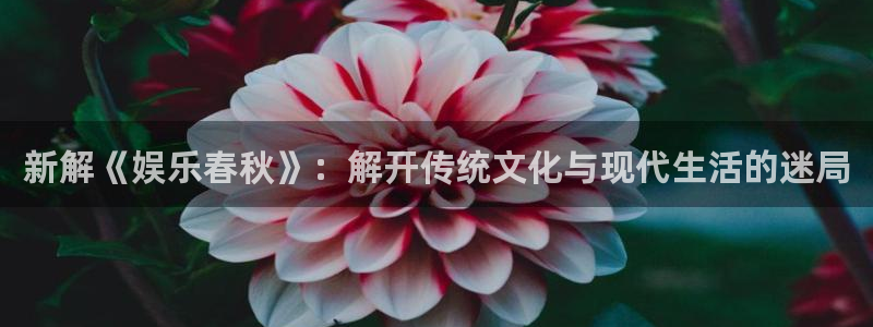 壹号大舞台网站：新解《娱乐春秋》：解开传统文化与现代生活的迷局
