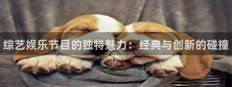 壹号大舞台娱乐传媒：综艺娱乐节目的独特魅力：经典与创新的碰撞