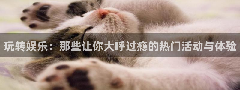 万赢娱乐-ng大舞台,有梦你就来：玩转娱乐：那些让你大呼过瘾的热门活动与体验