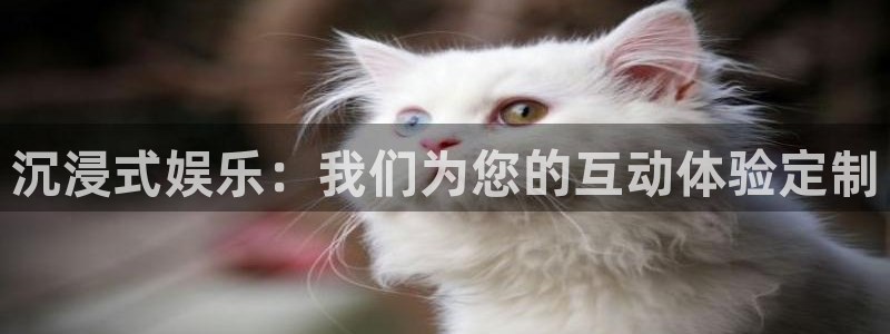 壹号电子娱乐app下载安装最新版本：沉浸式娱乐：我们为您的互动体验定制