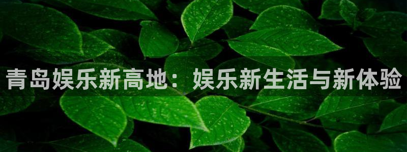 万赢娱乐官网下载：青岛娱乐新高地：娱乐新生活与新体验