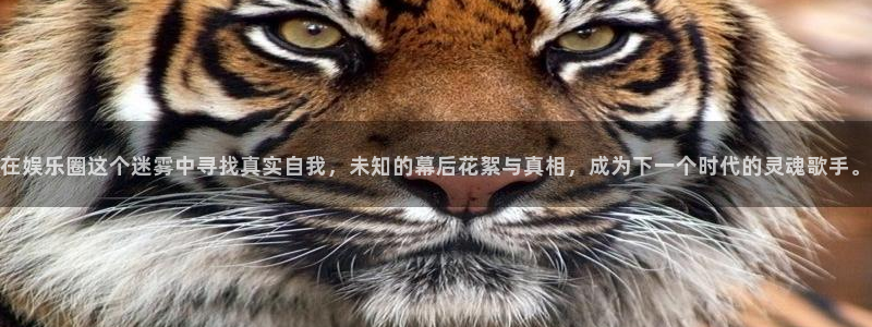 万赢娱乐app下载安装最新版：在娱乐圈这个迷雾中寻找真实自我，未知的幕后花絮与真相，成为下一个时代的灵魂歌手。